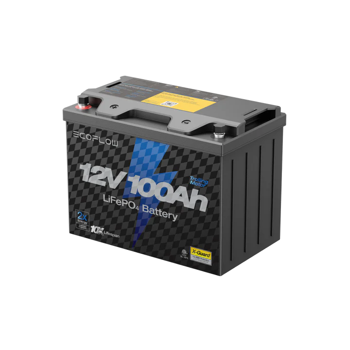 EcoFlow 12V 100Ah LiFePO4 Battery